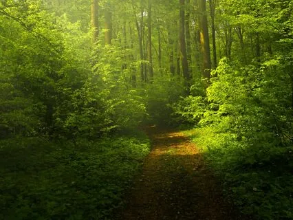 Daily Affirmations 2