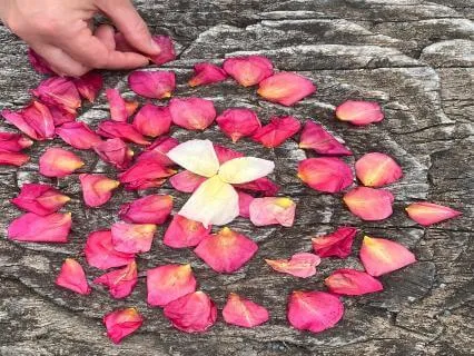 Daily Affirmations To Manifest Love And Acceptance