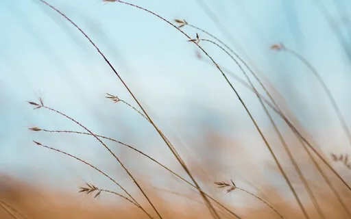 Daily Balm:  Calm Your Busy Mind