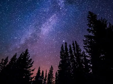 Daily Balm:  Stress Melt