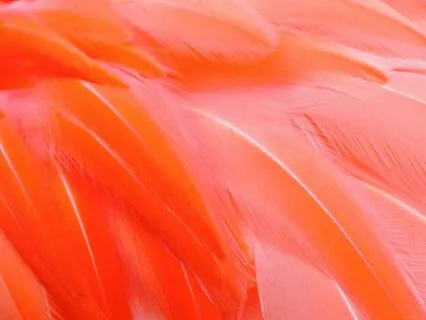 Daily Breath Practice With Handpan Music