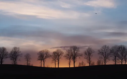 Daily Breathing Meditation: Your Healing Breath