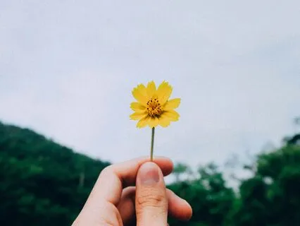 Daily Calm: Instant Stress Relief For Busy Lives