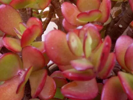 Bedtime Chakra Balancing With Reiki: Root Chakra