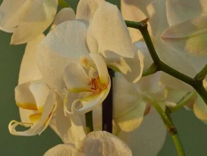 Daily Check-In (3 Minutes)