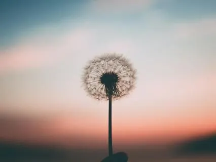 Daily Check-In Meditation For The Inner Child