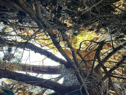 Daily Check-In To Deeply Nourish Your Whole Self