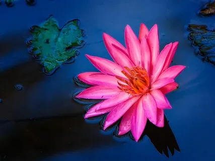 Positive Daily Affirmations For Children