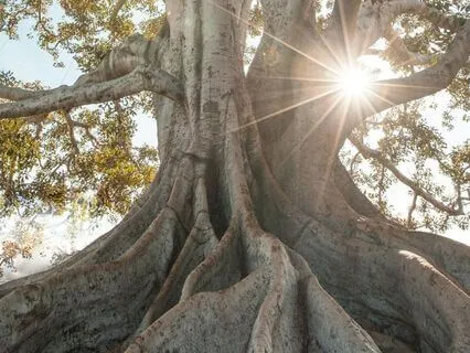 Daily Deep Grounding