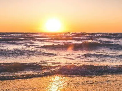 Daily Dose Of Relaxation