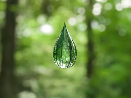 Daily Drop Of Gratitude: Breath