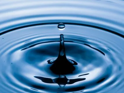 Daily Drop Of Gratitude: Connection