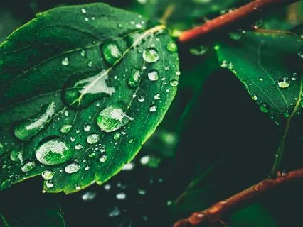 Daily Drop Of Gratitude: Present Moment