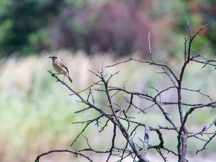 Daily Drop Of Gratitude: Small Moments