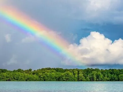 Daily Energetic Protection Ritual