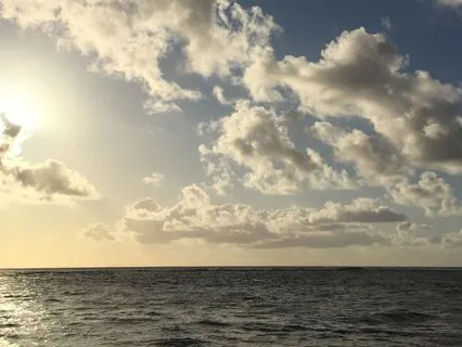 Daily Energy Check-In