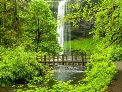 Daily Energy Clearing Meditation