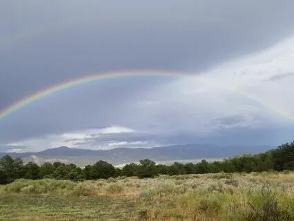 Daily Energy Field Clearing And Protection