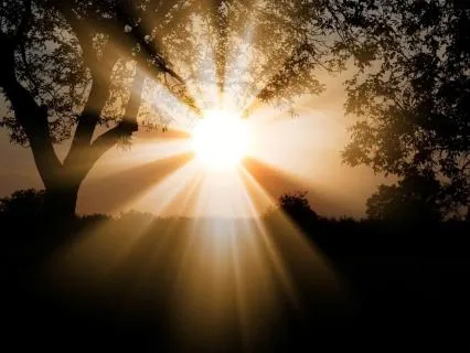 Daily Energy Healing/Reiki | 5-Minute Mini