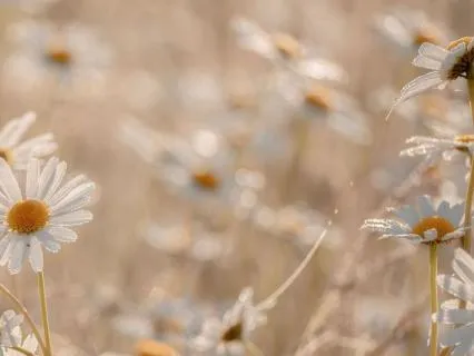 Daily Energy Hygiene: Clearing What Is Not Yours