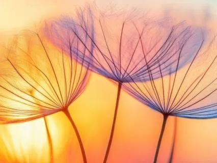 Daily Energy Reset Practice: Cleanse, Reconnect, Gratitude