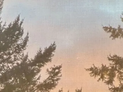 Daily Experiments: Working With Difficult Feelings