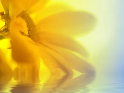 Daily Focus - Embody A Personal Quality