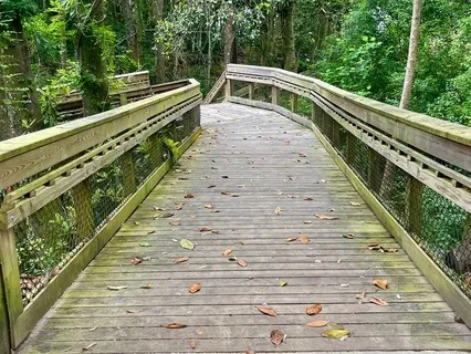 Daily Gratitude # 14