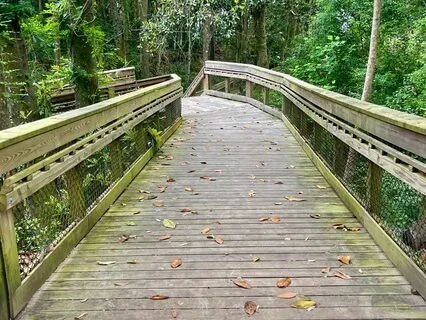 Daily Gratitude # 23