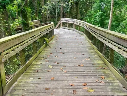 Daily Gratitude # 28