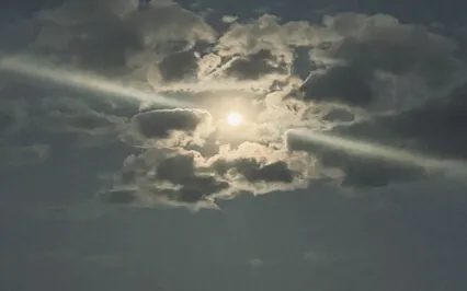 Daily Gratitude Meditation