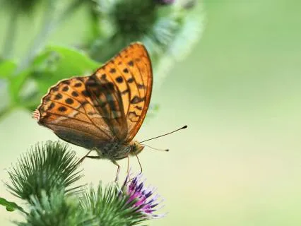 Daily Gratitude: Notice What Is Already Here