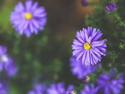 Daily Gratitude Practice