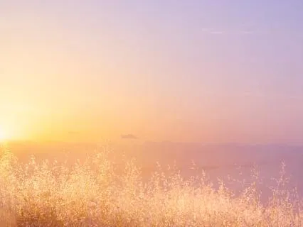 Daily Gratitude Prayer For Divine Guidance
