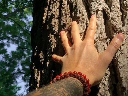 Daily Grounding And Universal Energy Connection Meditation