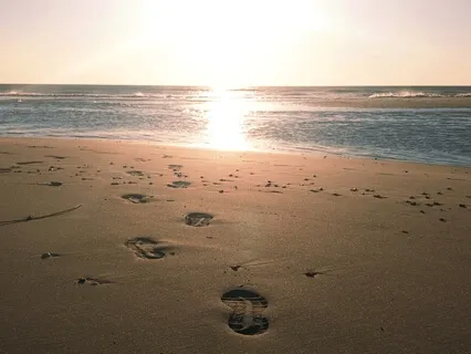 Daily Grounding Meditation