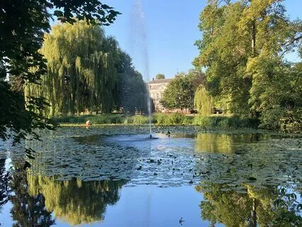 Daily Grounding Meditation For Balance