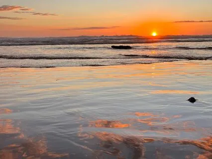 Daily Grounding Meditation With Natural Pacific Ocean Waves