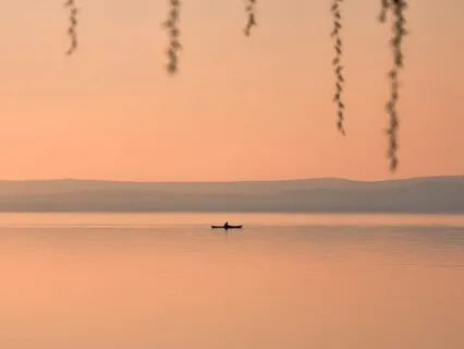 Daily Guided Practice