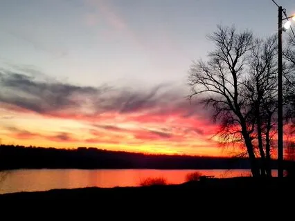 Daily Happiness Reminder