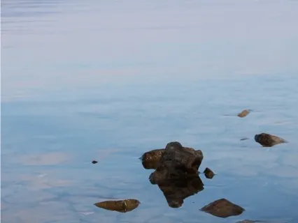 Daily Living Meditation: Serenity