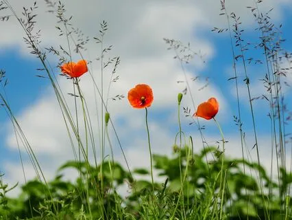 Daily Magic For Peace | #90 | A Candle