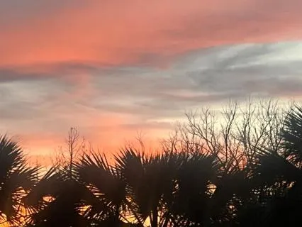 Daily Mantra - I Believe In Magic, Possibility, Joy And Fun