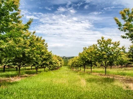 Daily Meditation For Connection With Universal Energies