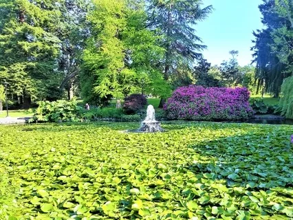 Daily Meditation For Relaxation