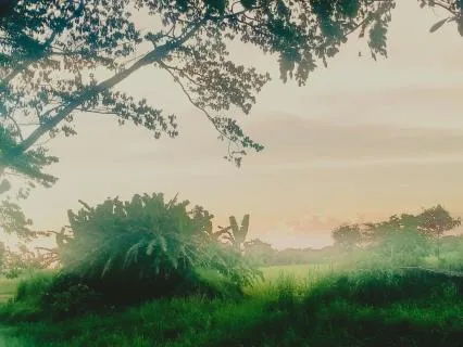 Daily Meditation For Spaciousness