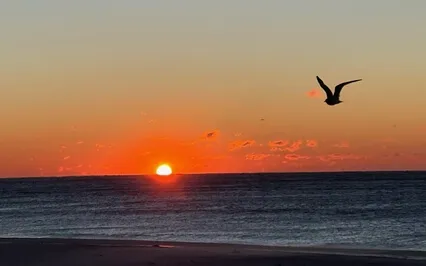 Daily Meditation - You Don't Have To Like It