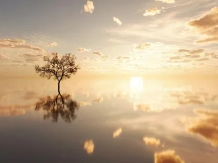 Daily Message & Reiki Flow - Ancestral Messages