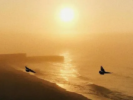 Daily Message & Reiki Flow - Believe In The Impossible