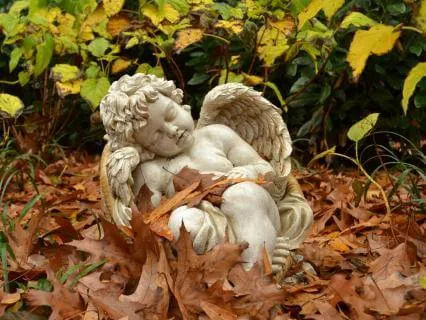 Daily Message & Reiki Flow - Falling Angel